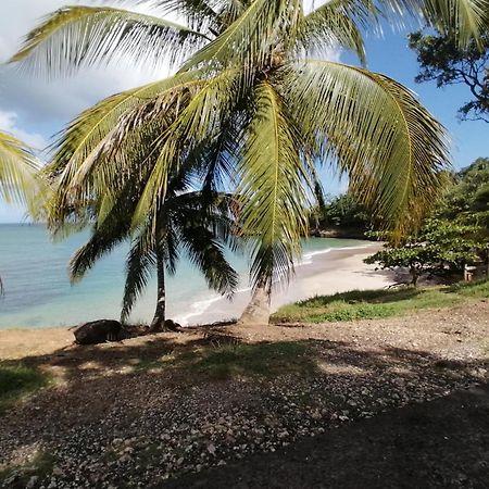 La Villa Karukera ซานต์-โรส ภายนอก รูปภาพ